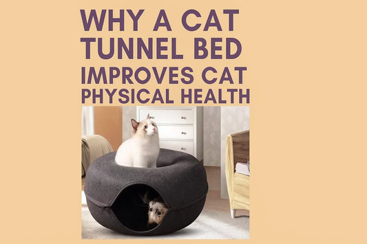 cat tunnel bed
