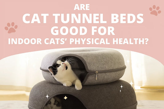 Best cat tunnel bed