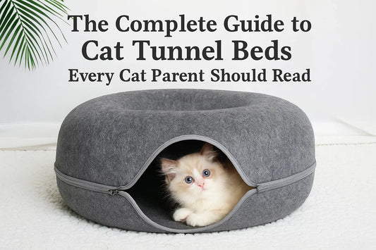 Cat tunnel bed