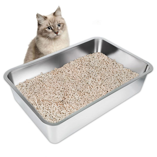 How Often to Change Cat Litter? Most People Get This Wrong