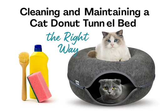 Cleaning and Maintaining a Cat Donut Tunnel Bed the Right Way