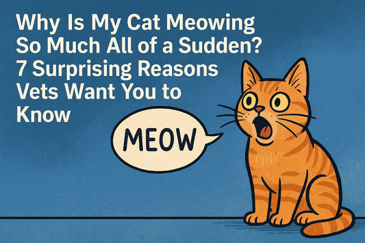 Why Is My Cat Meowing So Much All of a Sudden? 7 Surprising Reasons Vets Want You to Know