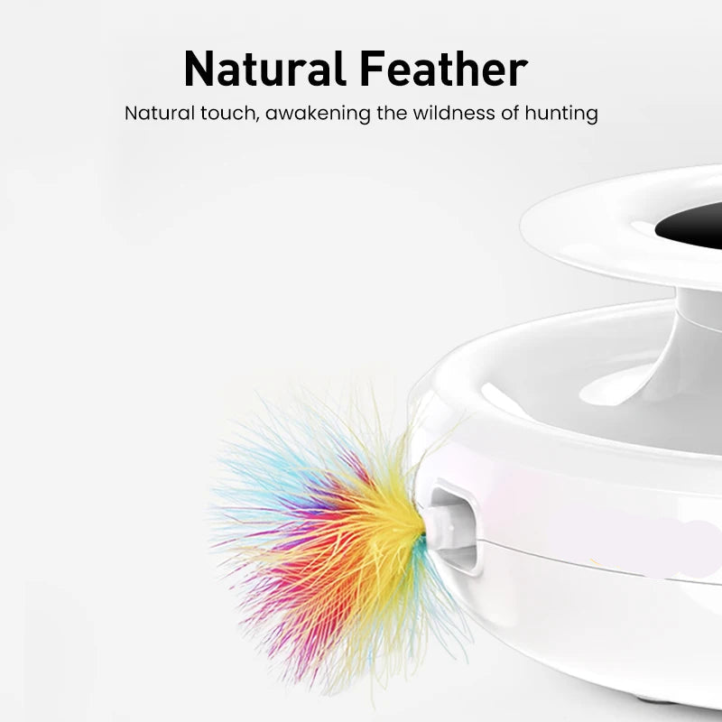 Interactive Feather & Ball Cat Toy