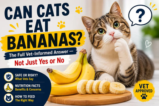 Can Cats Eat Bananas? The Full Vet-Informed Answer — Not Just Yes or No