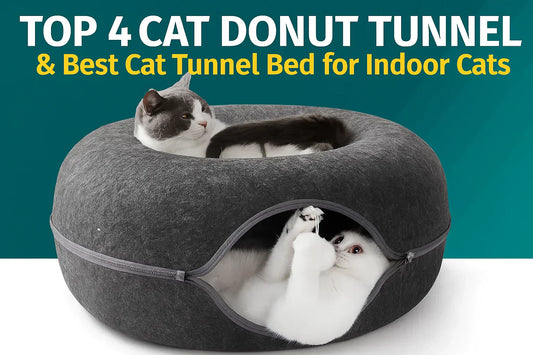 Top 4 cat tunnel bed