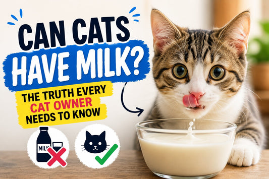 can cats have milk