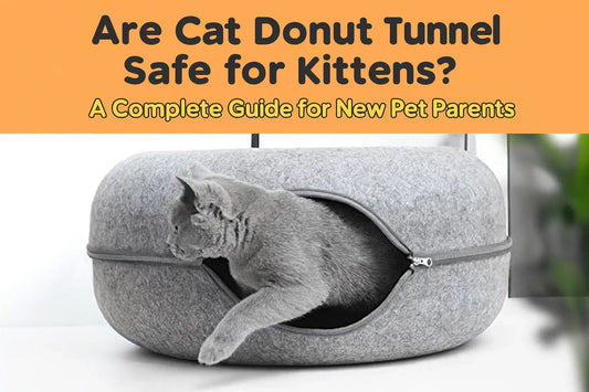 Best cat tunnel bed