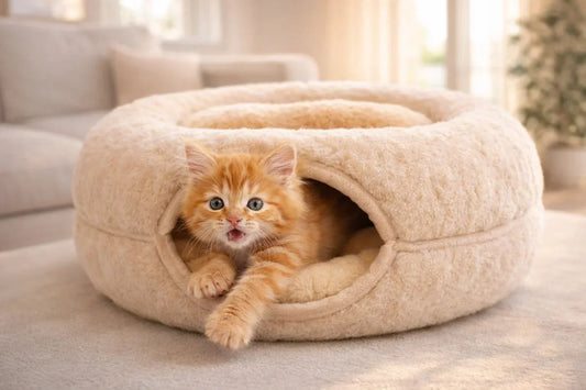 Cat Tunnel Bed