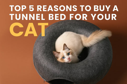 Cat tunnel bed
