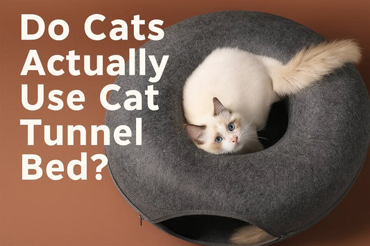Do Cats Actually Use Cat Tunnel Bed?