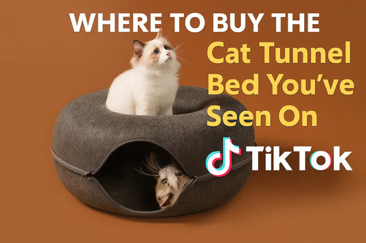 Cat tunnel bed
