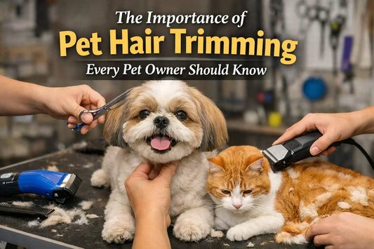 importance of pet hair trimming
