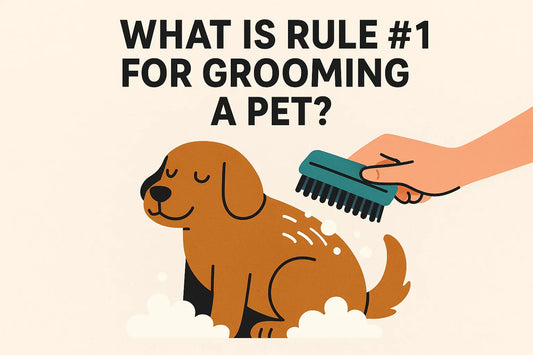 grooming a pet