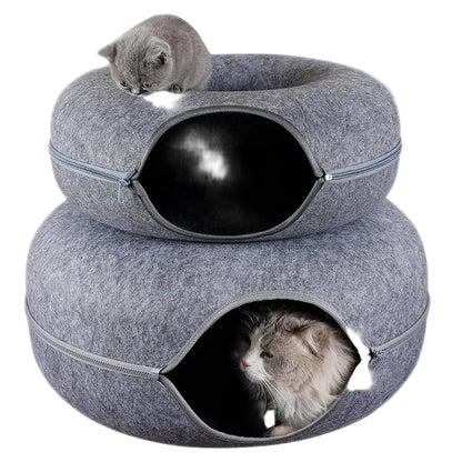 Cat donut tunnel