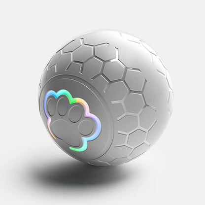 Smart Pet Ball