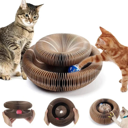 Magic Cat Scratcher & Play Round