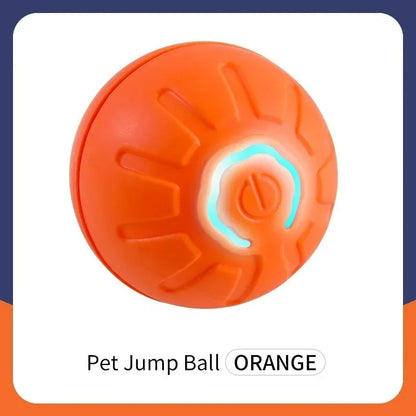 Smart Pet Ball