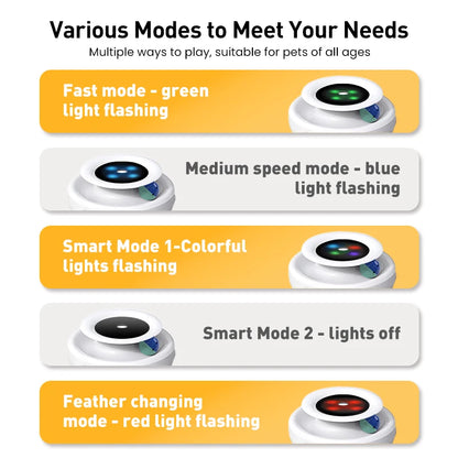 Interactive Feather & Ball Cat Toy